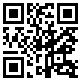QR:《中国智能体思维十问》