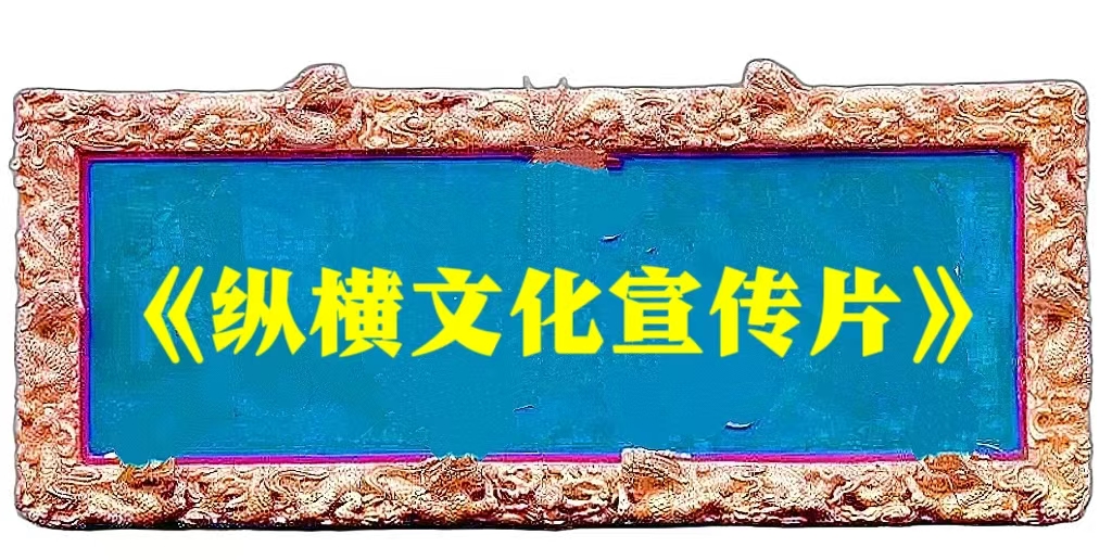 纵横文化宣传片
