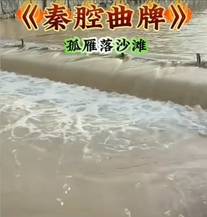 《大西北韵味》